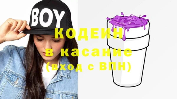 индика Бородино