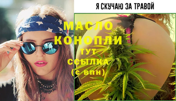 индика Бородино