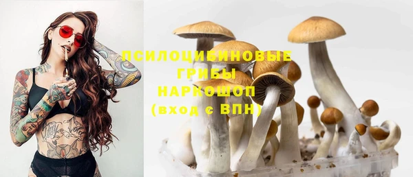 хмурый Бронницы