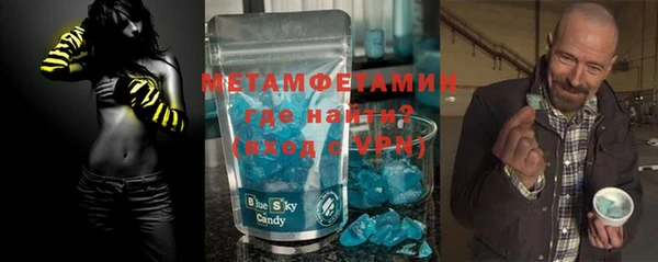 индика Бородино