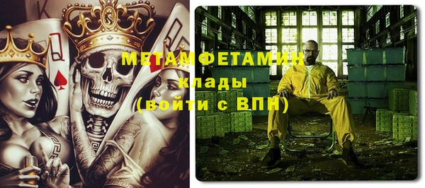 индика Бородино