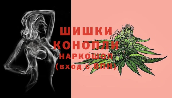 хмурый Бронницы