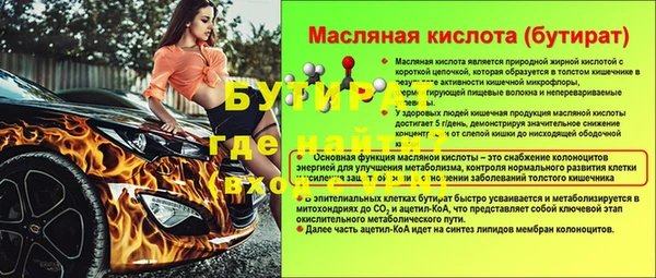 индика Бородино