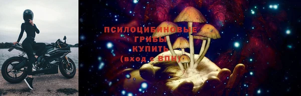 хмурый Бронницы