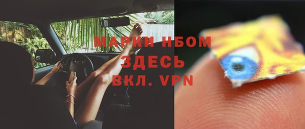 индика Бородино