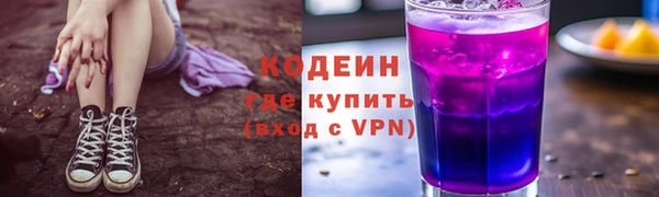 индика Бородино