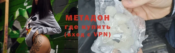 индика Бородино