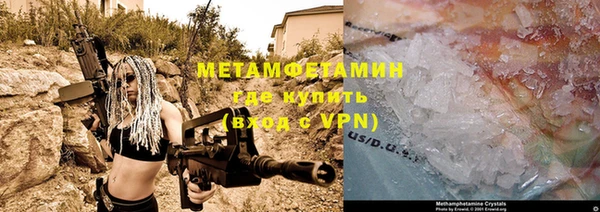 индика Бородино