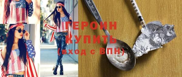 индика Бородино