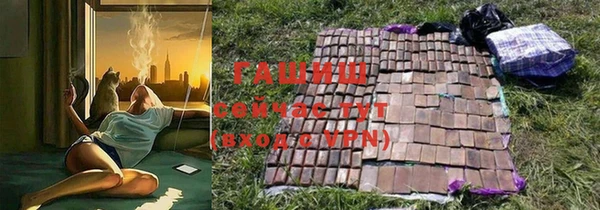 индика Бородино