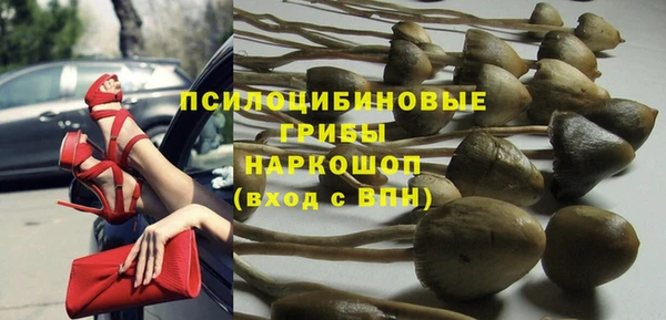 индика Бородино