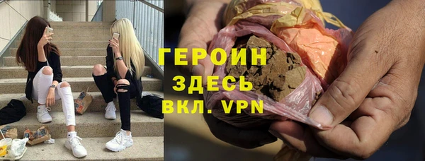 индика Бородино