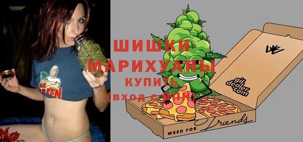 индика Бородино