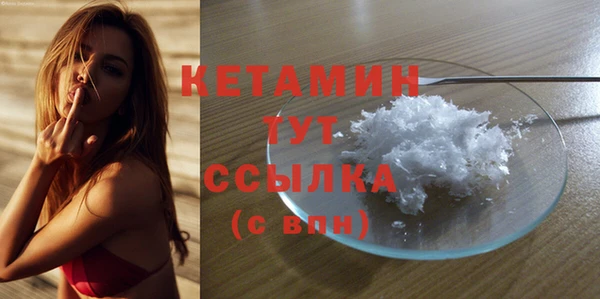 индика Бородино
