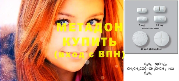 индика Бородино