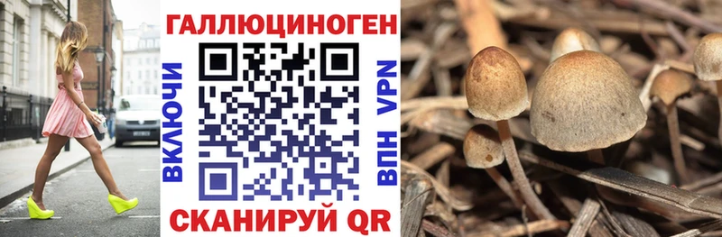 Галлюциногенные грибы прущие грибы  купить наркоту  Грозный 